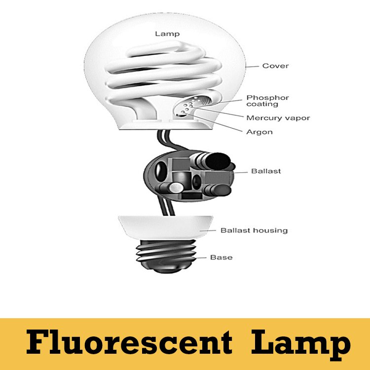 Read more about the article What is Fluorescent Lamp? Working Principle of CFL