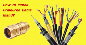 Read more about the article How to Install Armored Cable Gland?